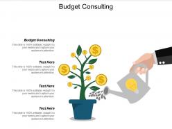 budget_consulting_ppt_powerpoint_presentation_model_objects_cpb_Slide01