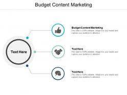 Budget content marketing ppt powerpoint presentation file inspiration cpb