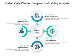 Budget cycle plan for company profitability analysis