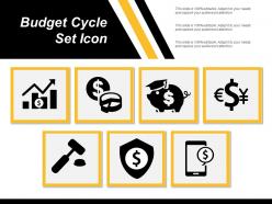 Budget cycle set icon