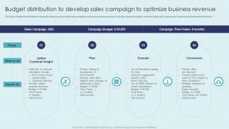 Budget Distribution To Develop Sales Campaign To Optimize Business Revenue