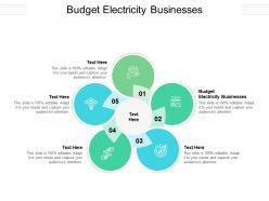 Budget electricity businesses ppt powerpoint presentation slides professional cpb