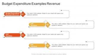 Budget Expenditure Examples Revenue In Powerpoint And Google Slides Cpb