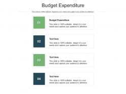 Budget expenditure ppt powerpoint presentation show layouts cpb