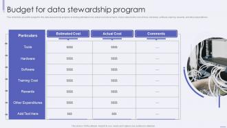 Budget For Data Stewardship Program Ppt Model Background Image