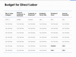 Budget For Direct Labor Ppt Powerpoint Presentation Gallery Show