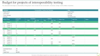 Budget For Projects Of Interoperability Testing Ppt Icon Infographics