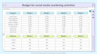 Budget For Social Media Marketing Activities B2b Social Media Marketing And Promotion