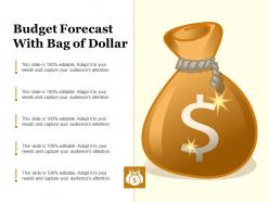 Budget forecast with bag of dollar