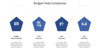 Budget help companies ppt powerpoint presentation infographic template infographic template cpb