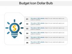 Budget icon dollar bulb