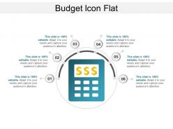 Budget icon flat