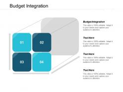 Budget integration ppt powerpoint presentation file slide portrait cpb