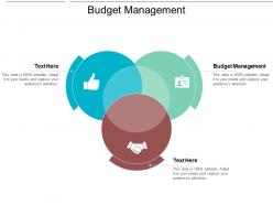 Budget management ppt powerpoint presentation gallery backgrounds cpb