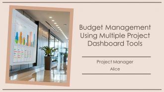 Budget Management Using Multiple Project Dashboard Tools PPT Summary AT