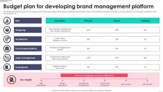 Budget Plan For Developing Brand Management Platform