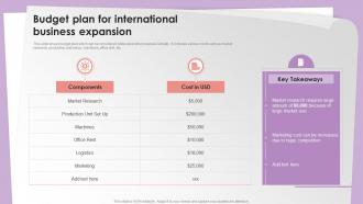 Budget Plan For International Business Expansion