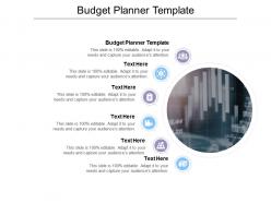 Budget planner template ppt powerpoint presentation model example topics cpb
