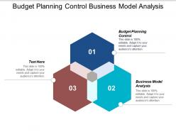 Budget planning control business model analysis solution problem cpb