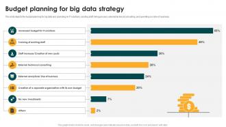 Budget Planning For Big Data Strategy Big Data Analytics And Management