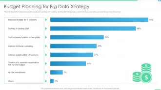 Budget Planning For Big Data Strategy Ppt Pictures