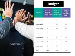 Budget Ppt Summary Example Introduction