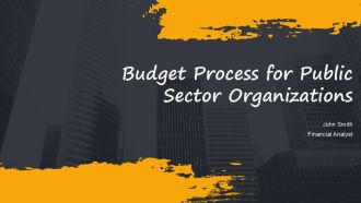 Budget Process For Public Sector Organizations PPT Template AT