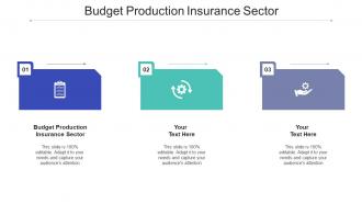 Budget production insurance sector ppt powerpoint presentation show aids cpb