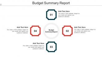 Budget Summary Report Ppt Powerpoint Presentation Template Master Cpb