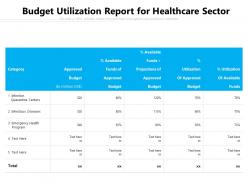 Budget Utilization Report For Healthcare Sector
