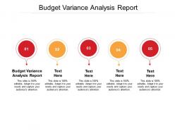 Budget variance analysis report ppt powerpoint presentation summary graphics cpb
