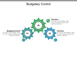 Budgetary control ppt powerpoint presentation gallery vector cpb