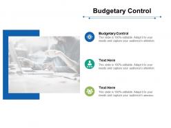 Budgetary control ppt powerpoint presentation icon graphics pictures cpb