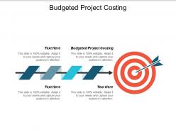 Budgeted project costing ppt powerpoint presentation infographics backgrounds cpb