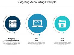 Budgeting accounting example ppt powerpoint presentation infographic template deck cpb