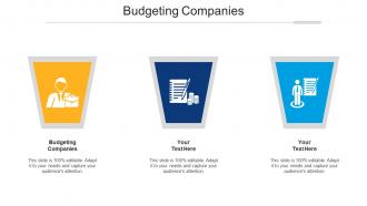 Budgeting Companies Ppt PowerPoint Presentation Gallery Professional Cpb