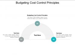 Budgeting cost control principles ppt powerpoint presentation background designs cpb