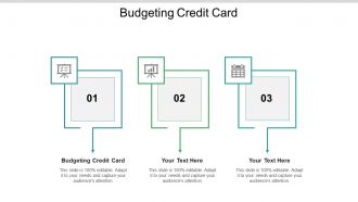 Budgeting credit card ppt powerpoint presentation ideas designs download cpb