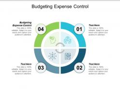 Budgeting expense control ppt powerpoint presentation infographics files cpb