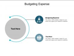 budgeting_expense_ppt_powerpoint_presentation_infographics_icon_cpb_Slide01