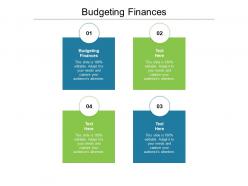 Budgeting finances ppt powerpoint presentation infographics designs download cpb