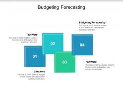 Budgeting forecasting ppt powerpoint presentation icon background images cpb