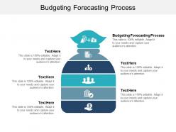Budgeting forecasting process ppt powerpoint presentation outline designs download cpb