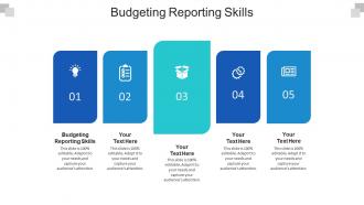 Budgeting reporting skills ppt powerpoint presentation infographic template download cpb