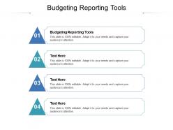 Budgeting reporting tools ppt powerpoint presentation inspiration cpb