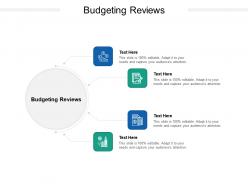 Budgeting reviews ppt powerpoint presentation summary elements cpb