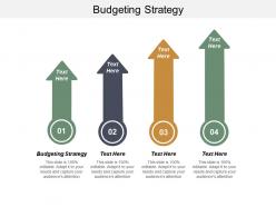 Budgeting strategy ppt powerpoint presentation icon slide download cpb