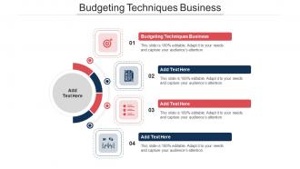Budgeting Techniques Business Ppt Powerpoint Presentation Show Elements Cpb
