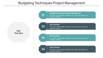 Budgeting Techniques Project Management Ppt Powerpoint Presentation Professional Visuals Cpb