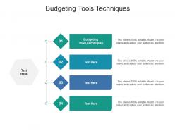 Budgeting tools techniques ppt powerpoint presentation infographics graphics template cpb